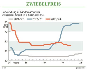 Grafik Zwiebelpreis 16_2024.jpg © Archiv