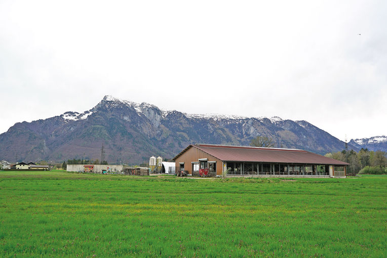 Hasingerbauer in Viehhausen - Alles aus eigener Produktion.jpg © Michael Hatheier