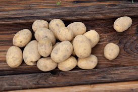 Kartoffeln © LK Vbg.jpg