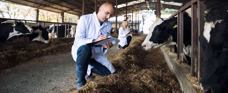 Tierarzt littlewolf1989 stock.adobe.com.jpg © littlewolf1989/stock.adobe.com