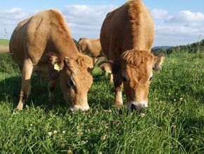 [1713351270750759_5.jpg]