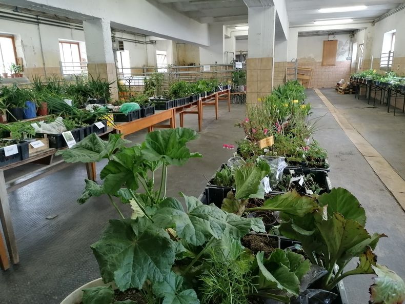 IMG 20240420 135054 resized 20240420 083957926.jpg IMG 20240420 135054 resized 20240420 083957926.jpg