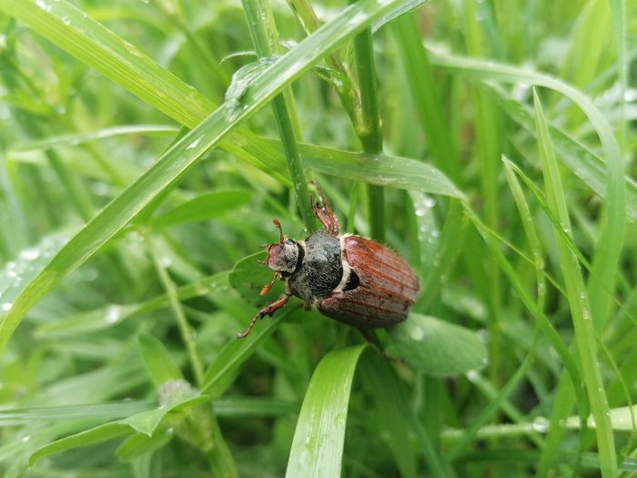 [1713768122512239_1.jpg]