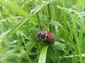 [1713768122512239_5.jpg]