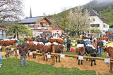 So bunt und  bedeutsam ist die Landwirtschaft.jpg © Sendlhofer