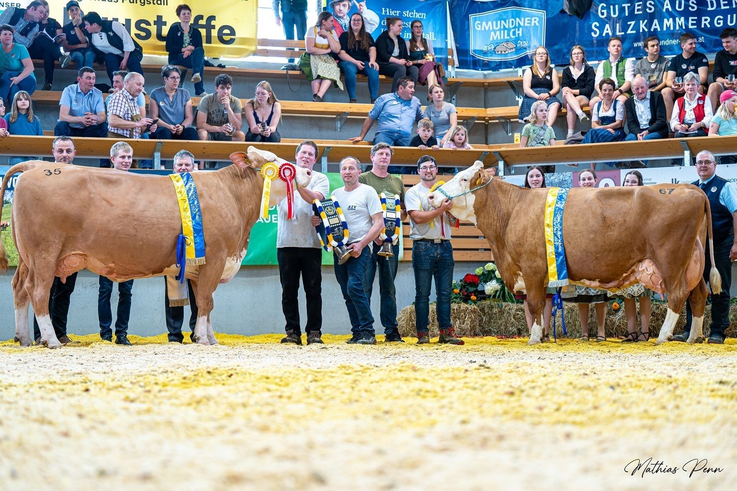 DSC_7149.jpg © Mathias Penn DSC_7149.jpg © Mathias Penn