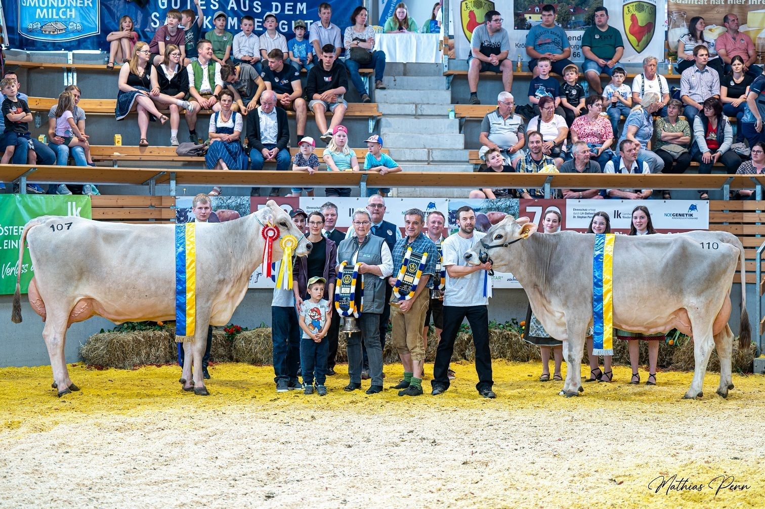 DSC_7239.jpg © Mathias Penn DSC_7239.jpg © Mathias Penn