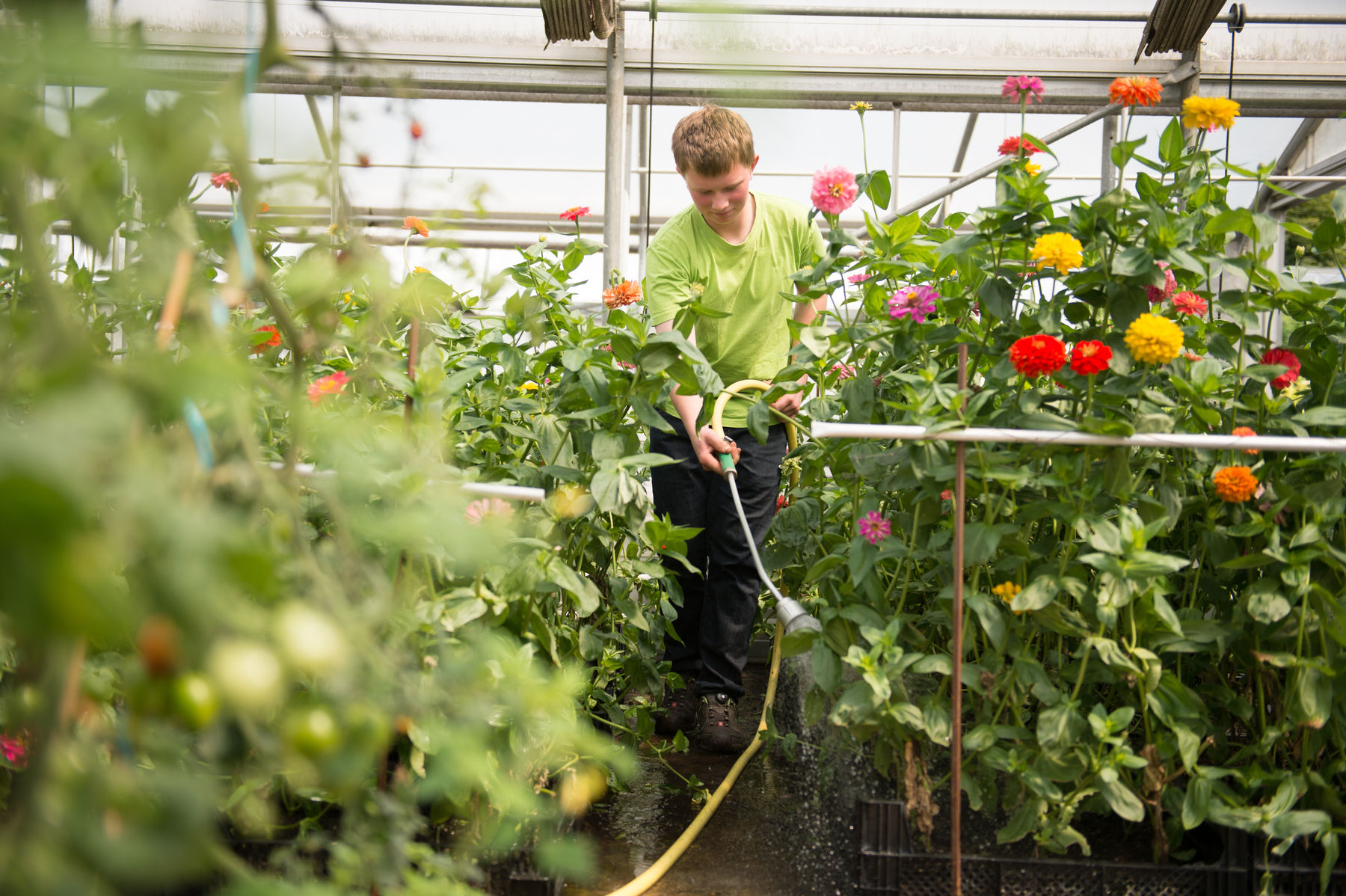 Gartenbau.jpg © BLFA Gartenbau.jpg © BLFA