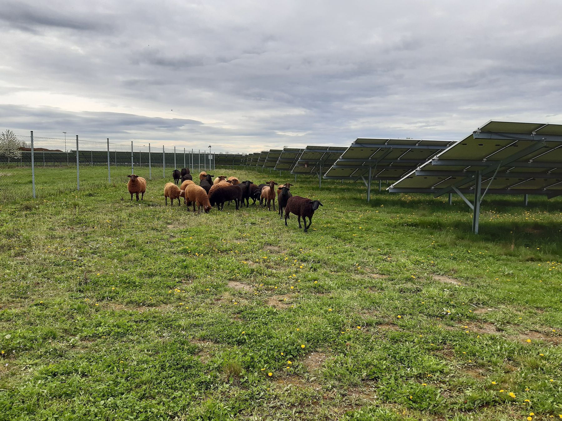 Photovoltaik.jpg © LK Wien/Graham Photovoltaik.jpg © LK Wien/Graham