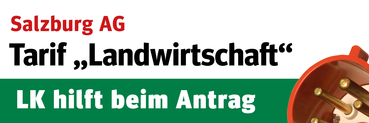 SalzburgAG_Stromtarif_v8 (002).png © Archiv