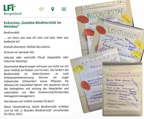 22.4.2024 - Gelebte Biodiversität Winkovitsch1.jpg