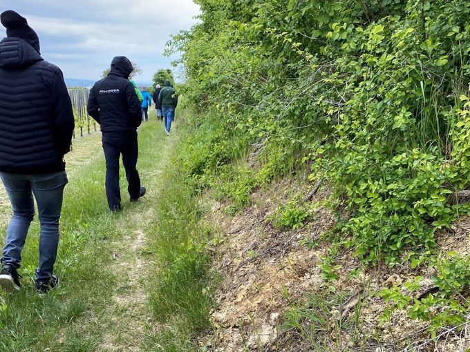 22.4.2024 - Gelebte Biodiversität Winkovitsch7.jpg