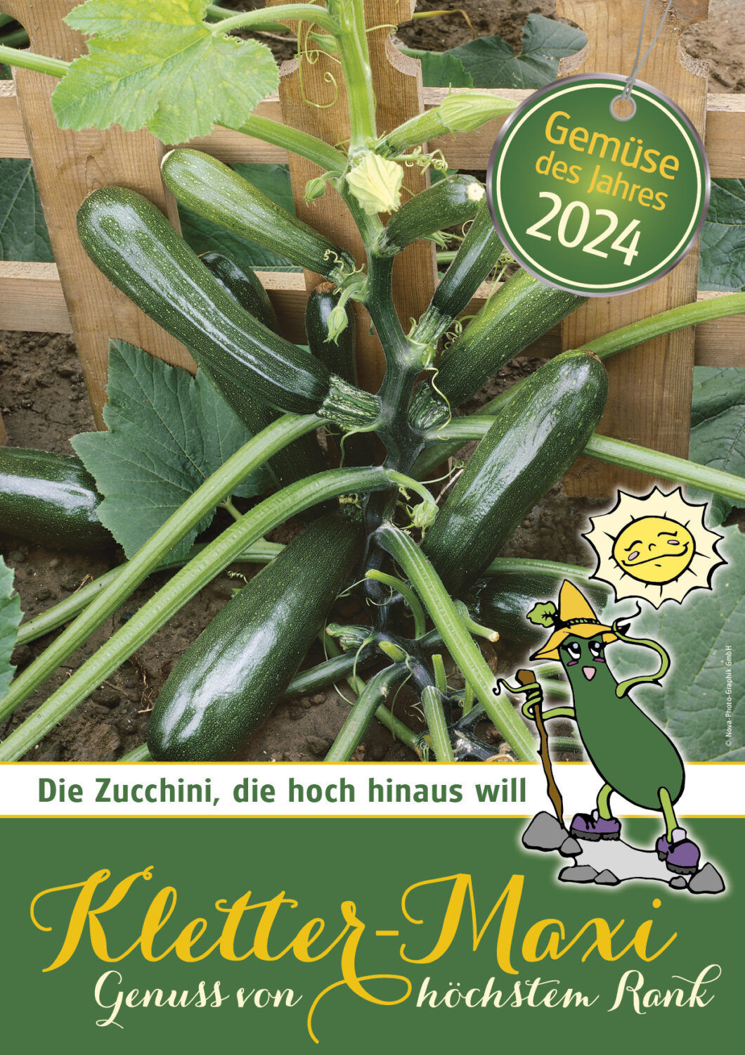 A4suj_gemuese2024_klettermaxi-scaled.jpg © Salzburger Gärtner und Gemüsebauern A4suj_gemuese2024_klettermaxi-scaled.jpg © Salzburger Gärtner und Gemüsebauern