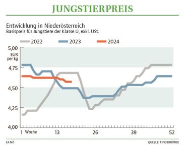 Grafik Stierpreis 18_2024.jpg © LK NÖ