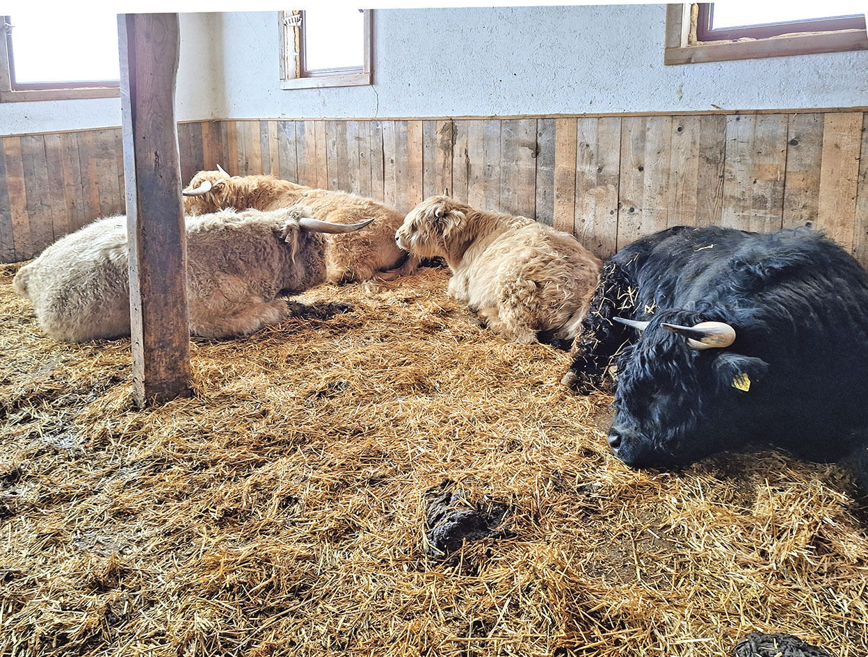 Arlerschmied in Wagrain: Vom Wesen und der Optik beeindruckt.jpg © Christine Mooslechner Arlerschmied in Wagrain: Vom Wesen und der Optik beeindruckt.jpg © Christine Mooslechner