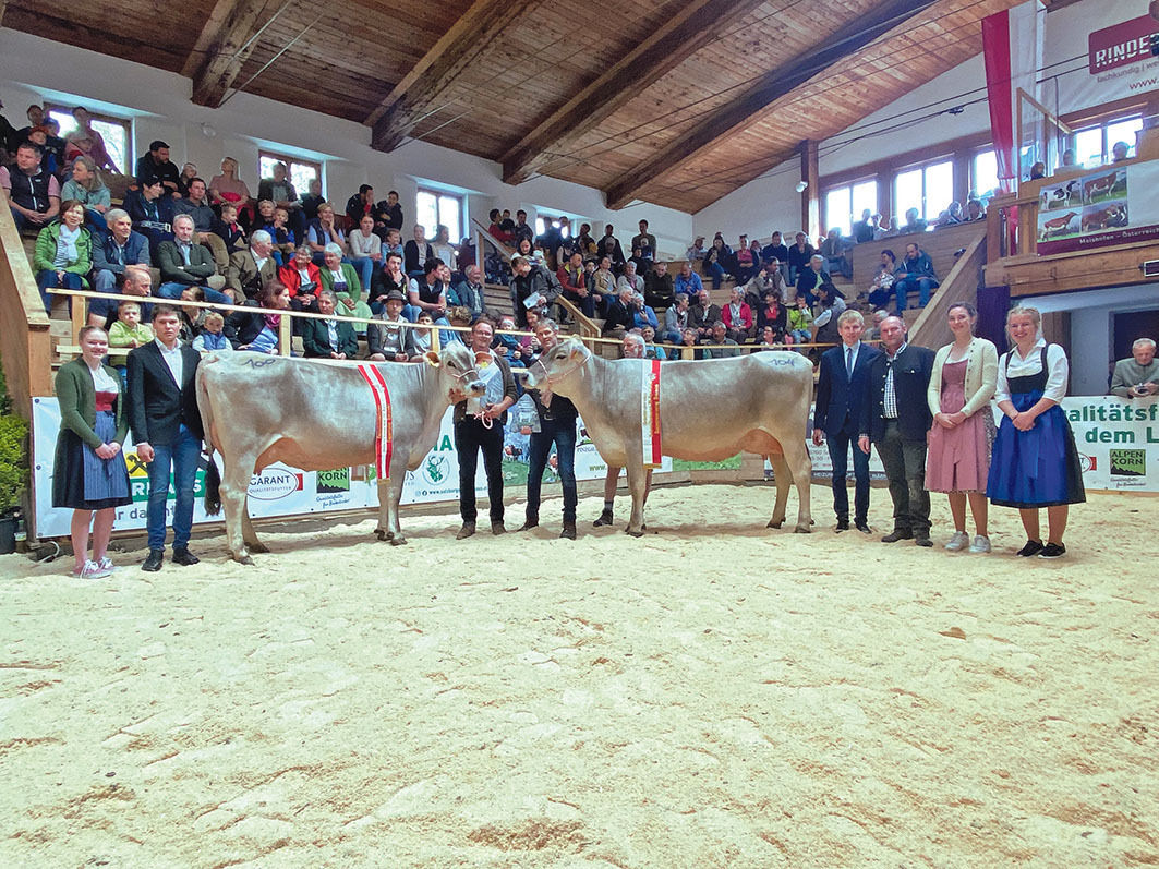 280 Rinder aus sieben Pinzgauer Orten im Schauring.jpg