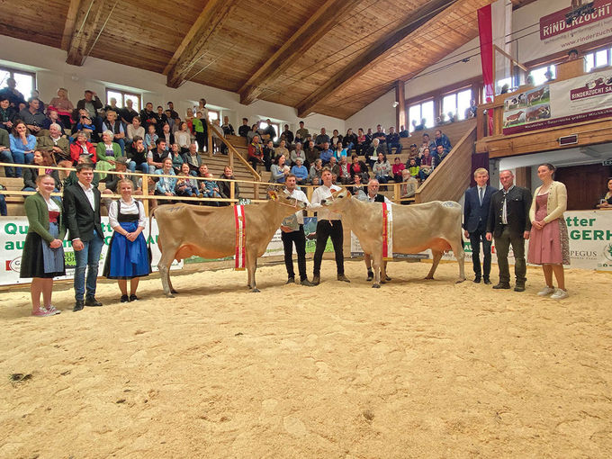 280 Rinder aus sieben Pinzgauer Orten im Schauring.jpg © Edenhauser 280 Rinder aus sieben Pinzgauer Orten im Schauring.jpg © Edenhauser
