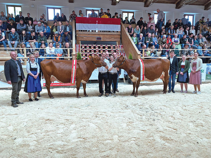 280 Rinder aus sieben Pinzgauer Orten im Schauring.jpg © Edenhauser 280 Rinder aus sieben Pinzgauer Orten im Schauring.jpg © Edenhauser