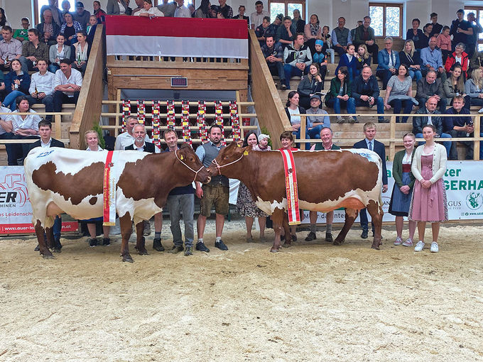 280 Rinder aus sieben Pinzgauer Orten im Schauring.jpg © Edenhauser 280 Rinder aus sieben Pinzgauer Orten im Schauring.jpg © Edenhauser