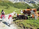 Landwirtschaft und Gastro: Durchs Reden kommt man zam.jpg © Archiv