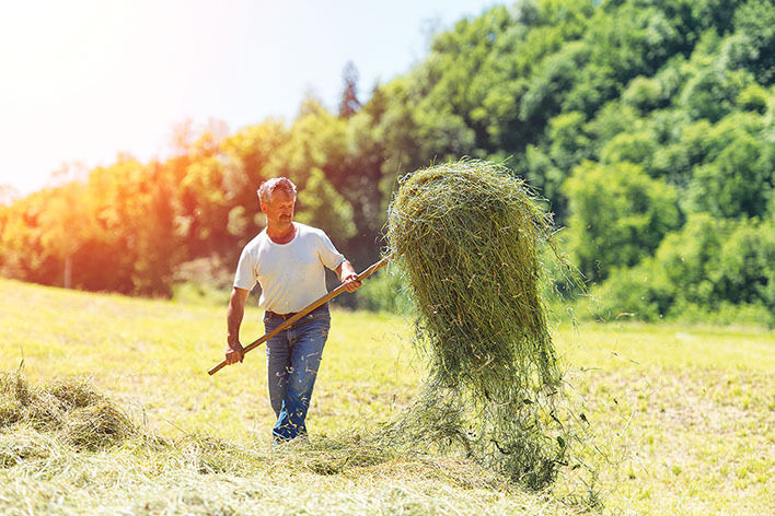 Landwirtschaft und Gastro: Durchs Reden kommt man zam.jpg © Archiv