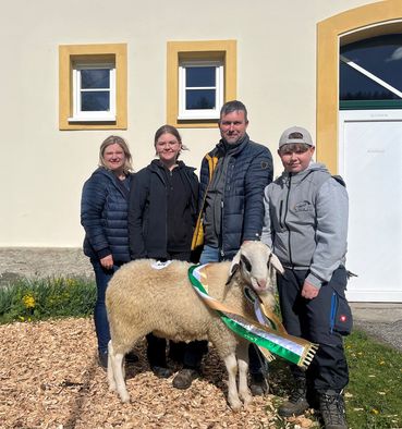 Siegertier männlich.jpg © SZZV Kärnten Siegertier männlich.jpg © SZZV Kärnten