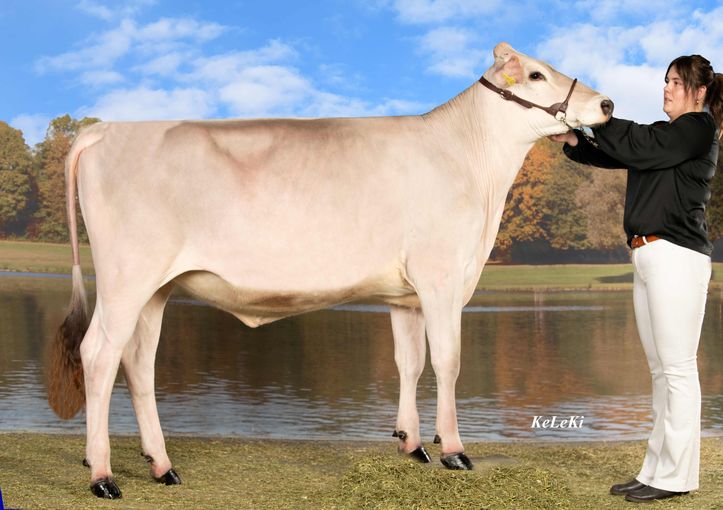 FINE.jpg © CaRINDthia FINE.jpg © CaRINDthia