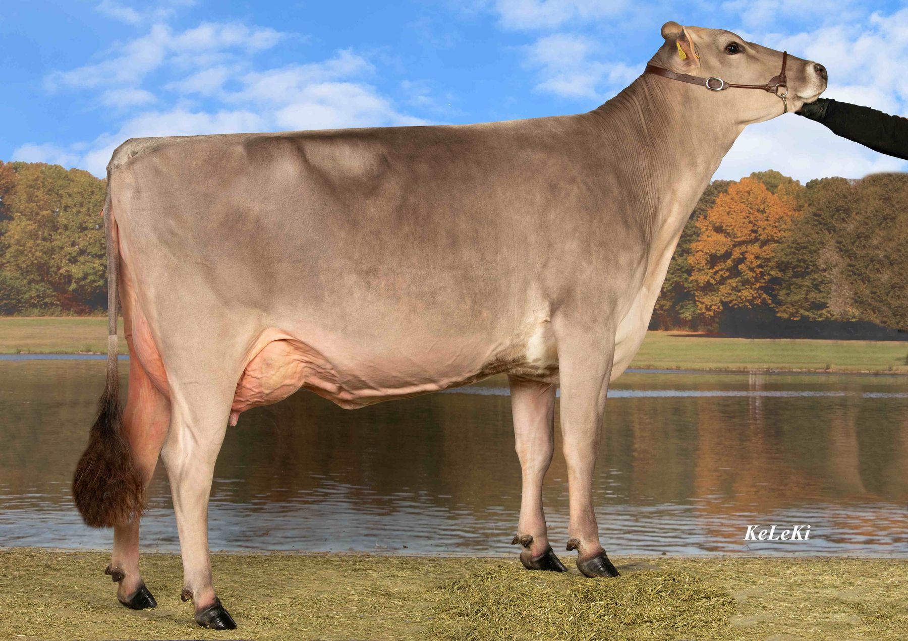 ELLI.jpg © CaRINDthia ELLI.jpg © CaRINDthia