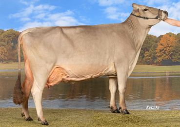 IVONNE.jpg © CaRINDthia IVONNE.jpg © CaRINDthia