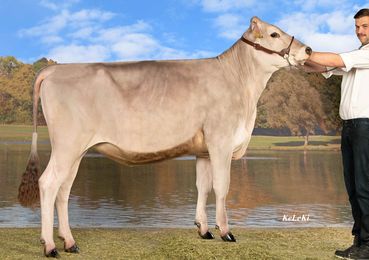 LUISIEN.jpg © CaRINDthia LUISIEN.jpg © CaRINDthia