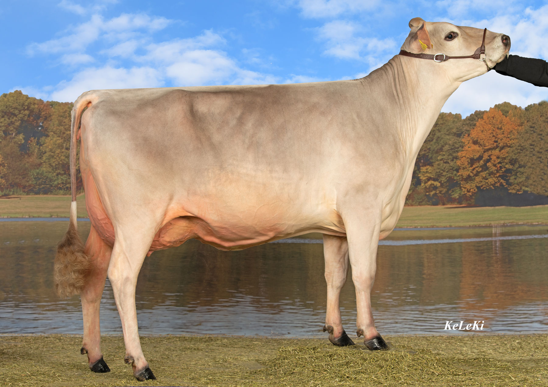 WIZZARD.jpg © CaRINDthia WIZZARD.jpg © CaRINDthia