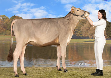 WONDER.jpg © CaRINDthia WONDER.jpg © CaRINDthia