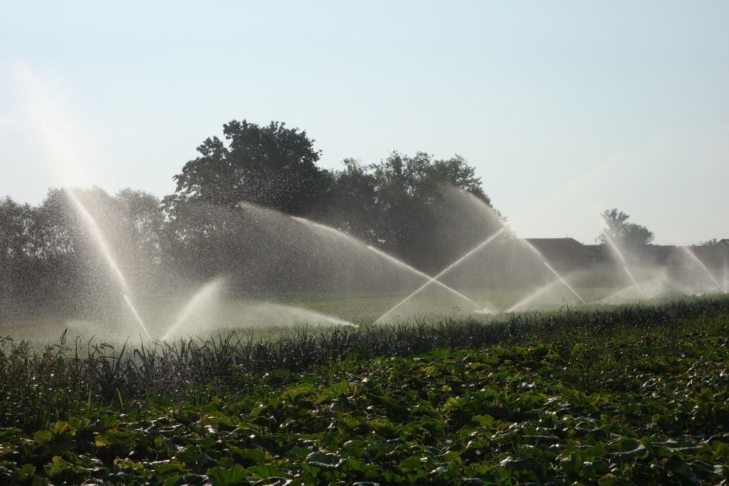 DSC06034.jpg © Rechtsabteilung/LK OÖ DSC06034.jpg © Rechtsabteilung/LK OÖ