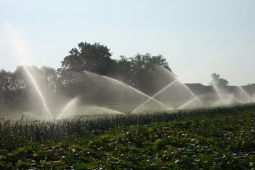 DSC06034.jpg © Rechtsabteilung/LK OÖ DSC06034.jpg © Rechtsabteilung/LK OÖ