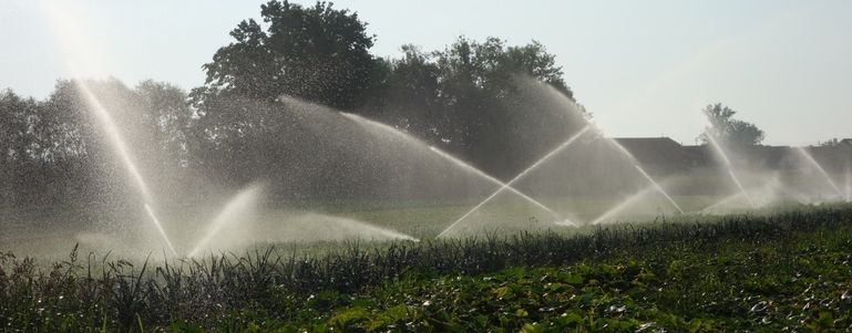 Bewässerung © Rechtsabteilung/LK OÖ
