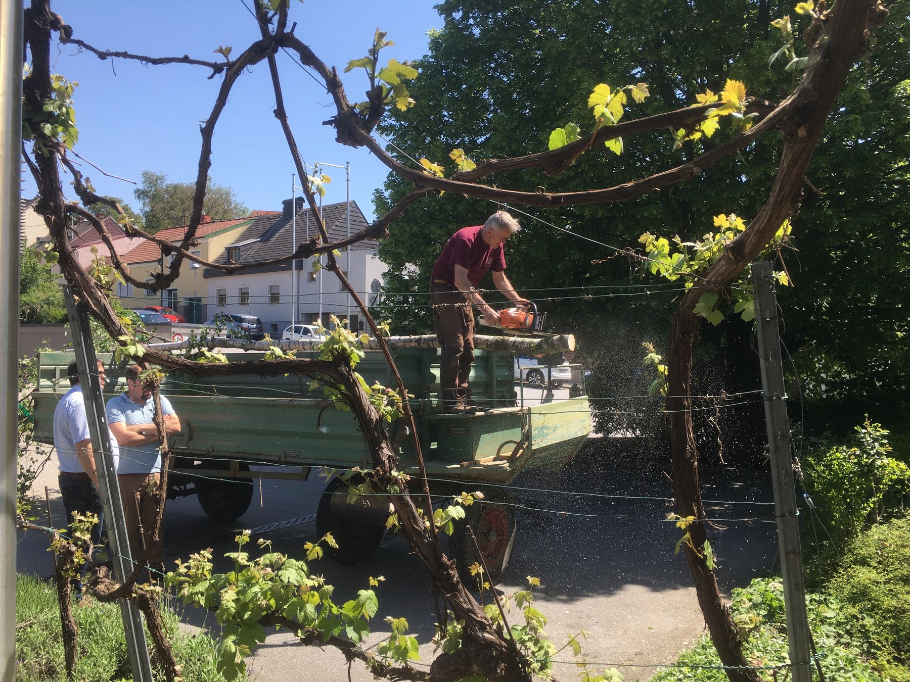 2024 Maibaumaufstellen BBK MI © Andrea Uhl (11).jpg © Andrea Uhl 2024 Maibaumaufstellen BBK MI © Andrea Uhl (11).jpg © Andrea Uhl