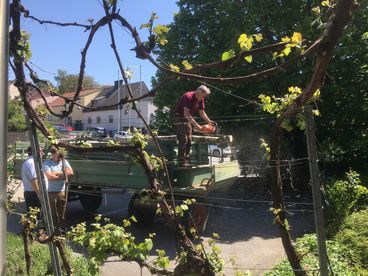 2024 Maibaumaufstellen BBK MI © Andrea Uhl (11).jpg © Andrea Uhl 2024 Maibaumaufstellen BBK MI © Andrea Uhl (11).jpg © Andrea Uhl