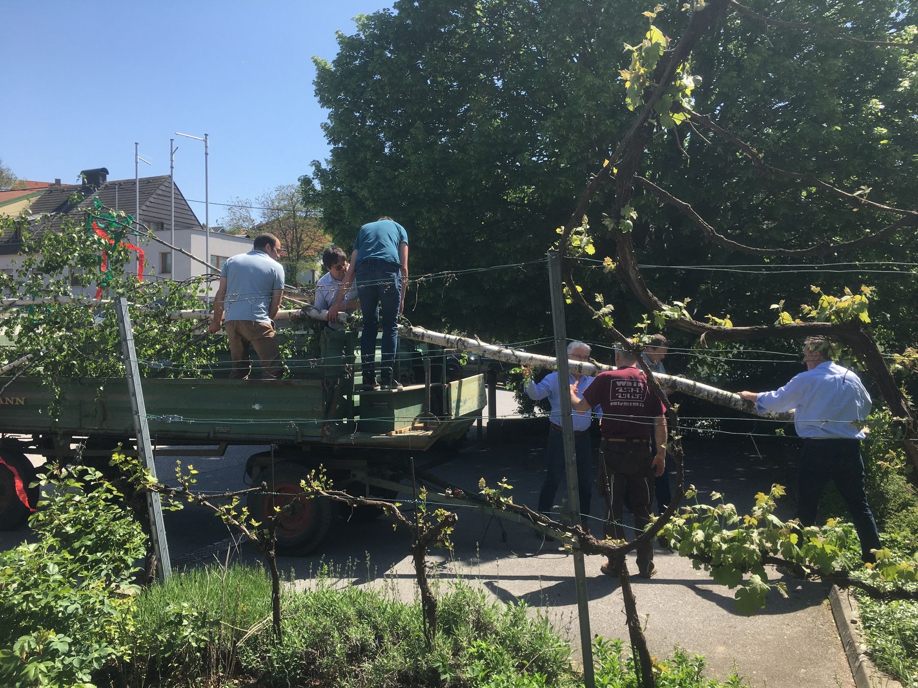 © Andrea Uhl © Andrea Uhl