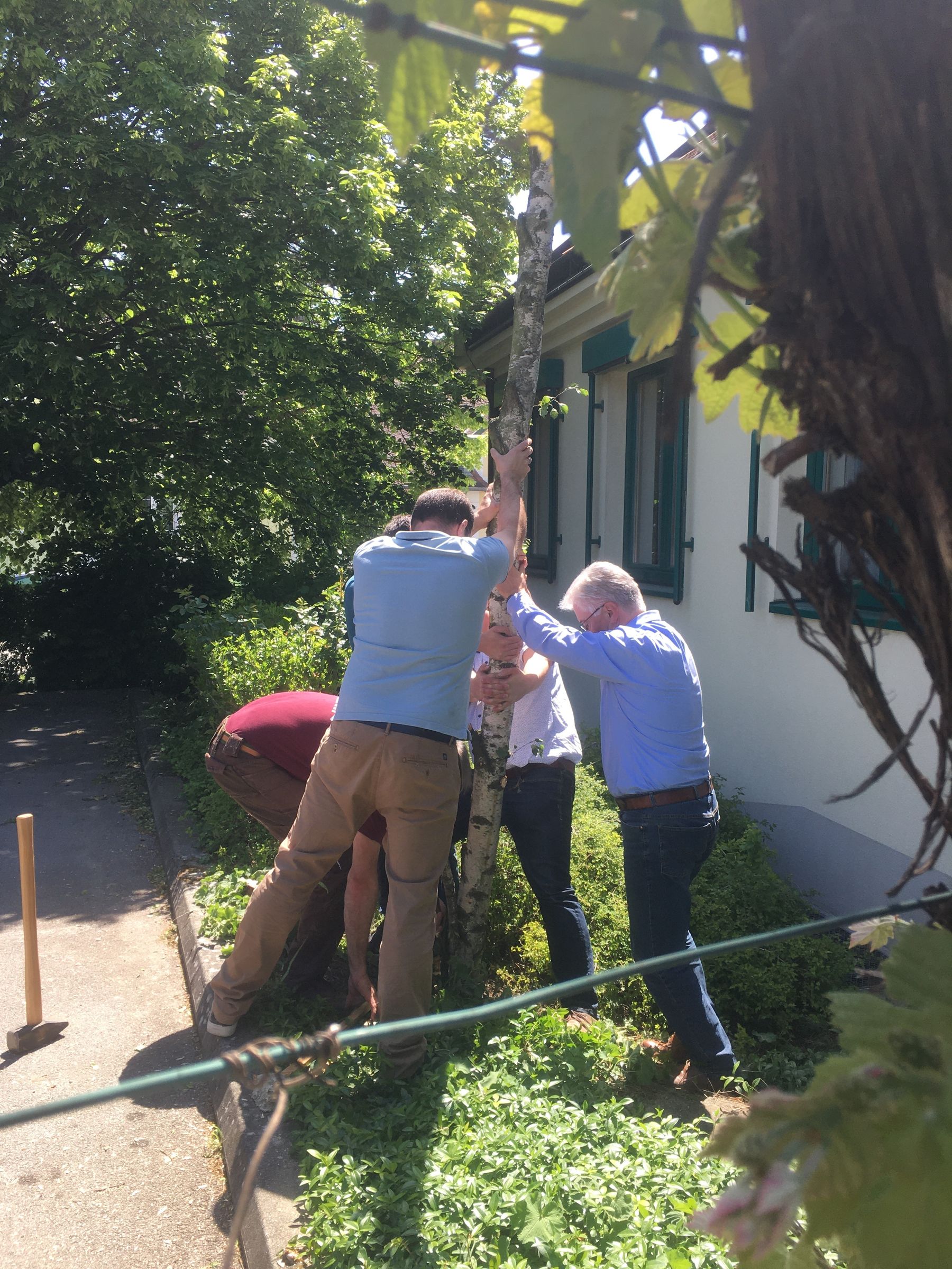 © Andrea Uhl © Andrea Uhl