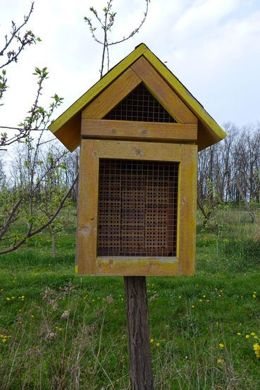 Nisthilfen_Wildbienenhotel.jpg © LK Steiermark/Referat Obstbau Nisthilfen_Wildbienenhotel.jpg © LK Steiermark/Referat Obstbau