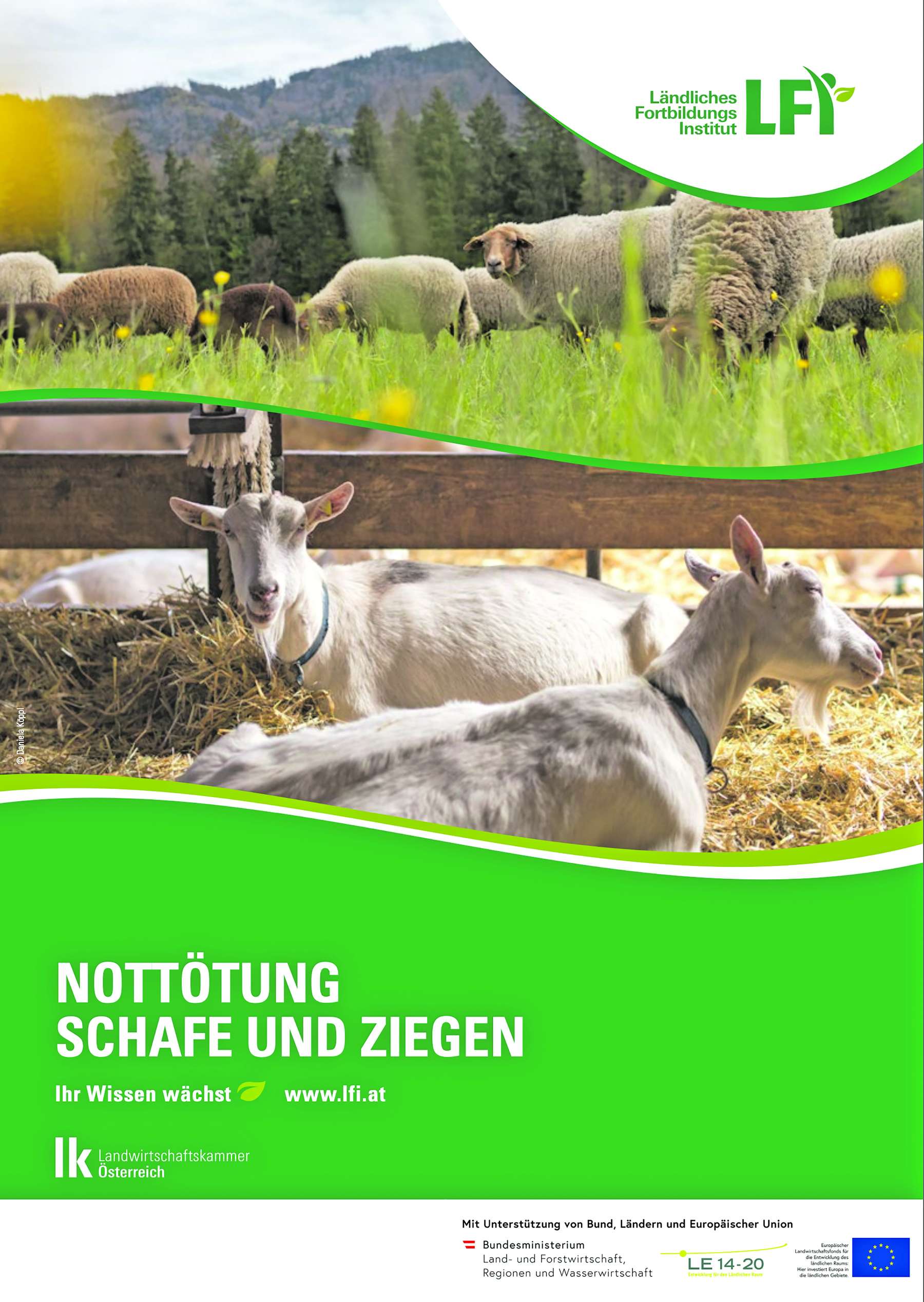 Screenshot Broschüre Nottötung - Schafe und Ziegen.jpg
