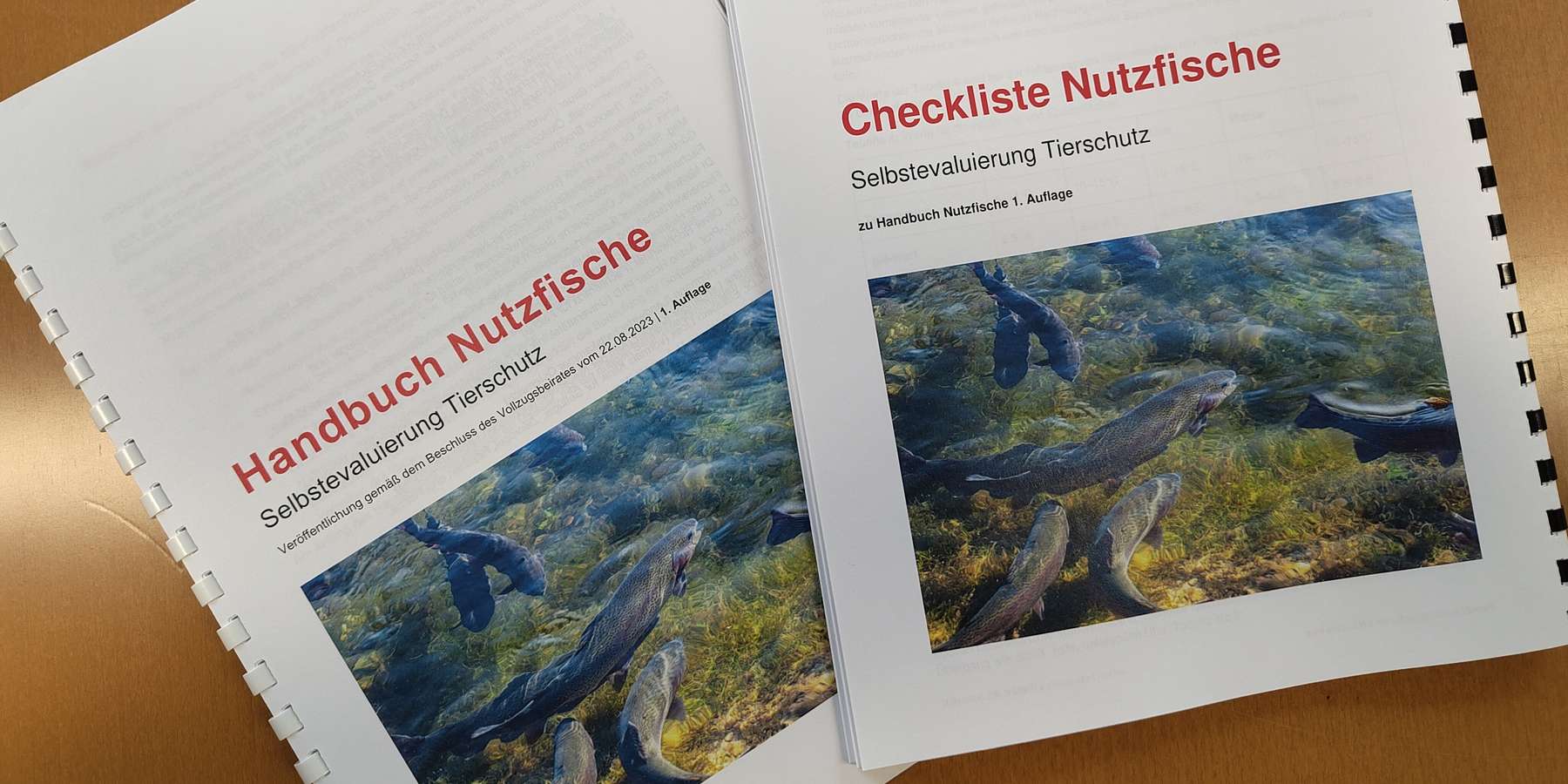 Handbuch und Checkliste Nutzfische (c) Benedikt Berger.jpg © Benedikt Berger/LK NÖ Handbuch und Checkliste Nutzfische (c) Benedikt Berger.jpg © Benedikt Berger/LK NÖ