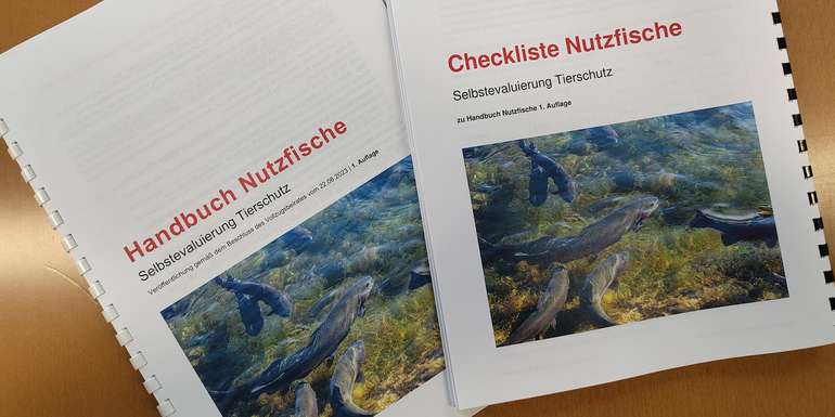 Handbuch und Checkliste Nutzfische (c) Benedikt Berger.jpg © Benedikt Berger/LK NÖ Handbuch und Checkliste Nutzfische (c) Benedikt Berger.jpg © Benedikt Berger/LK NÖ
