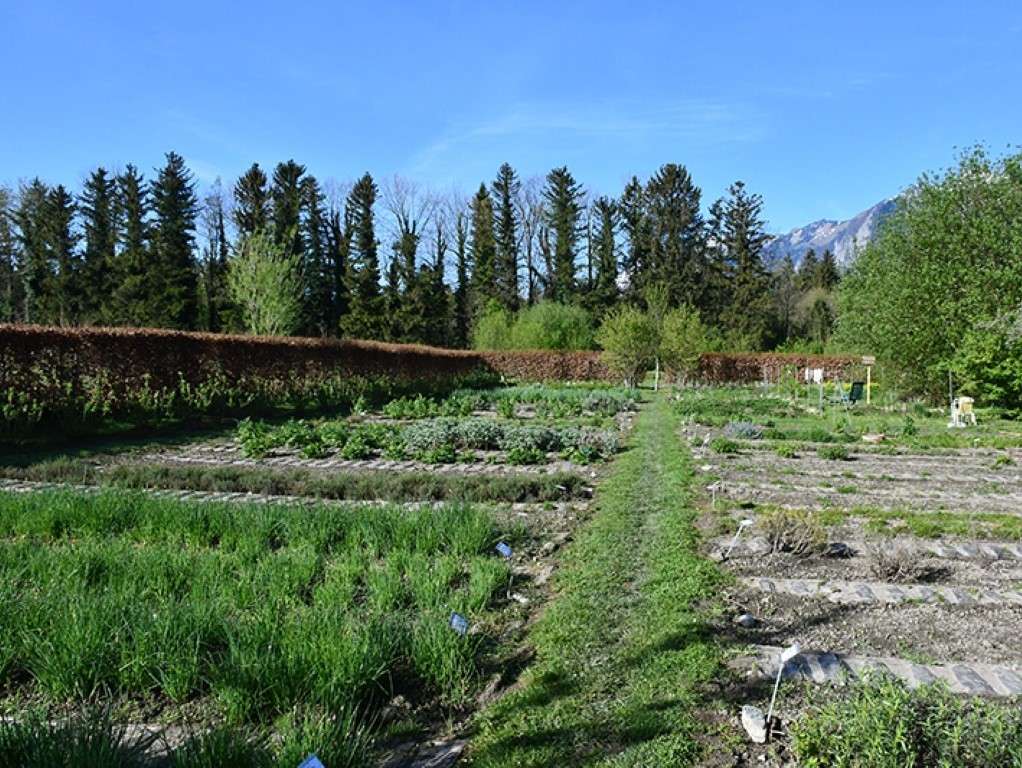 AQUA_Garten2 © LK Vbg (Mittel).jpg © LK Vbg. AQUA_Garten2 © LK Vbg (Mittel).jpg © LK Vbg.