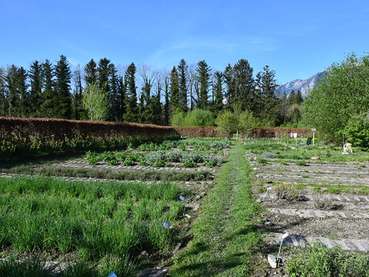 AQUA_Garten2 © LK Vbg (Mittel).jpg © LK Vbg. AQUA_Garten2 © LK Vbg (Mittel).jpg © LK Vbg.