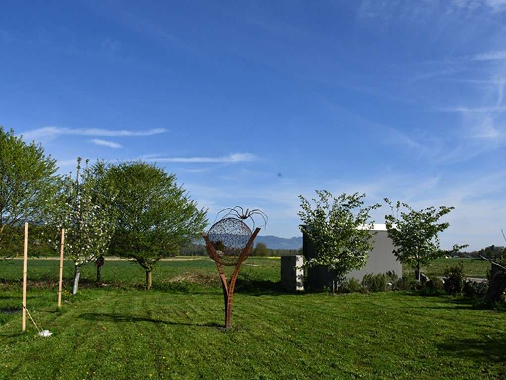 AQUA_Garten3 © LK Vbg (Mittel).jpg © LK Vbg. AQUA_Garten3 © LK Vbg (Mittel).jpg © LK Vbg.