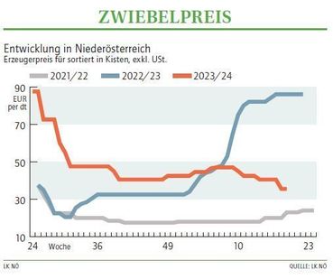 Grafik Zwiebelpreis 19 2024.jpg