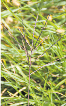 Screenshot 2024-05-08 092850.png © Egger, Bildaufnahme vom 2.Oktober 2022 Screenshot 2024-05-08 092850.png © Egger, Bildaufnahme vom 2.Oktober 2022