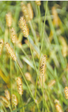 Screenshot 2024-05-08 092907.png © Egger, Bildaufnahme vom 2.Oktober 2022 Screenshot 2024-05-08 092907.png © Egger, Bildaufnahme vom 2.Oktober 2022