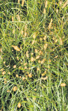 Screenshot 2024-05-08 092922.png © Egger, Bildaufnahme vom 2.Oktober 2022 Screenshot 2024-05-08 092922.png © Egger, Bildaufnahme vom 2.Oktober 2022